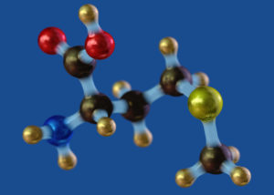 A picture of Amino Acid Methionine