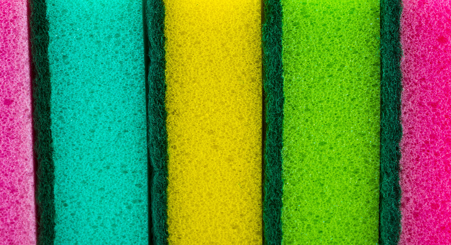 A closeup of a colorful sponges arranged vertically